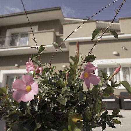 B&B Arco Dei Sogni 切拉诺 外观 照片